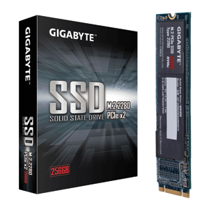 GIGABYTE GP-GSM2NE3256GNTD, 256 GB, M.2, 1700 MB/s