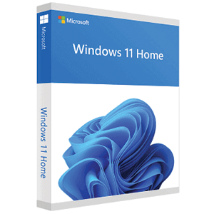 Windows 11 Home – 64 Bit DVD Only